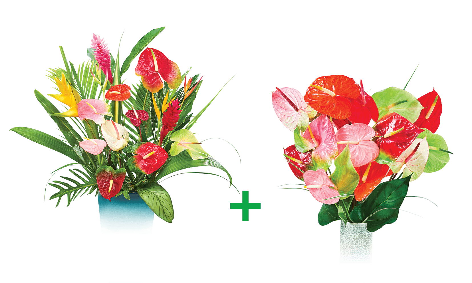 2 EN 1 FLEURI