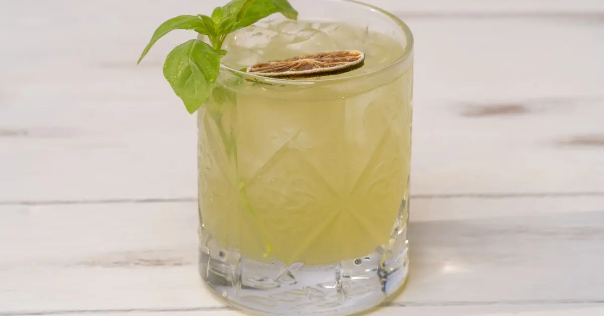 Cocktails créatifs à base de plantes : des recettes inspirantes