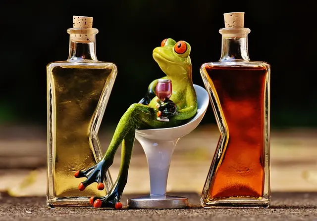 10 Cocktails Créatifs à Tester Absolument pour Épater vos Invités