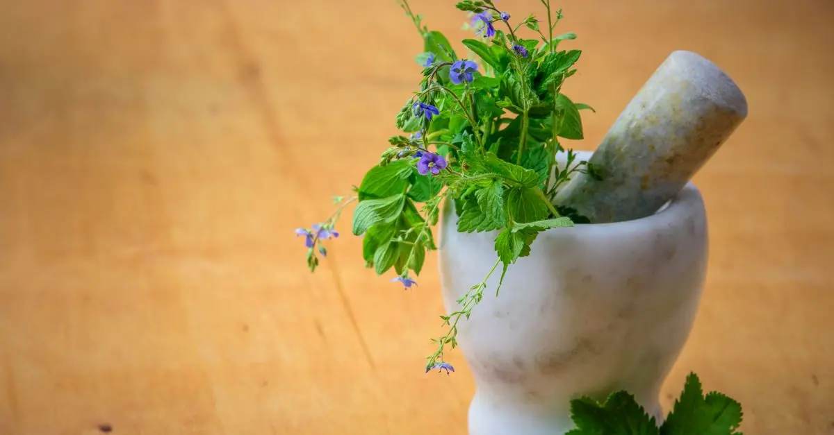 Pourquoi utiliser des herbes fraîches dans vos cocktails