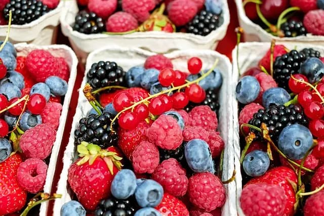 Les Meilleures Recettes de Cocktails Créatifs à Essayer