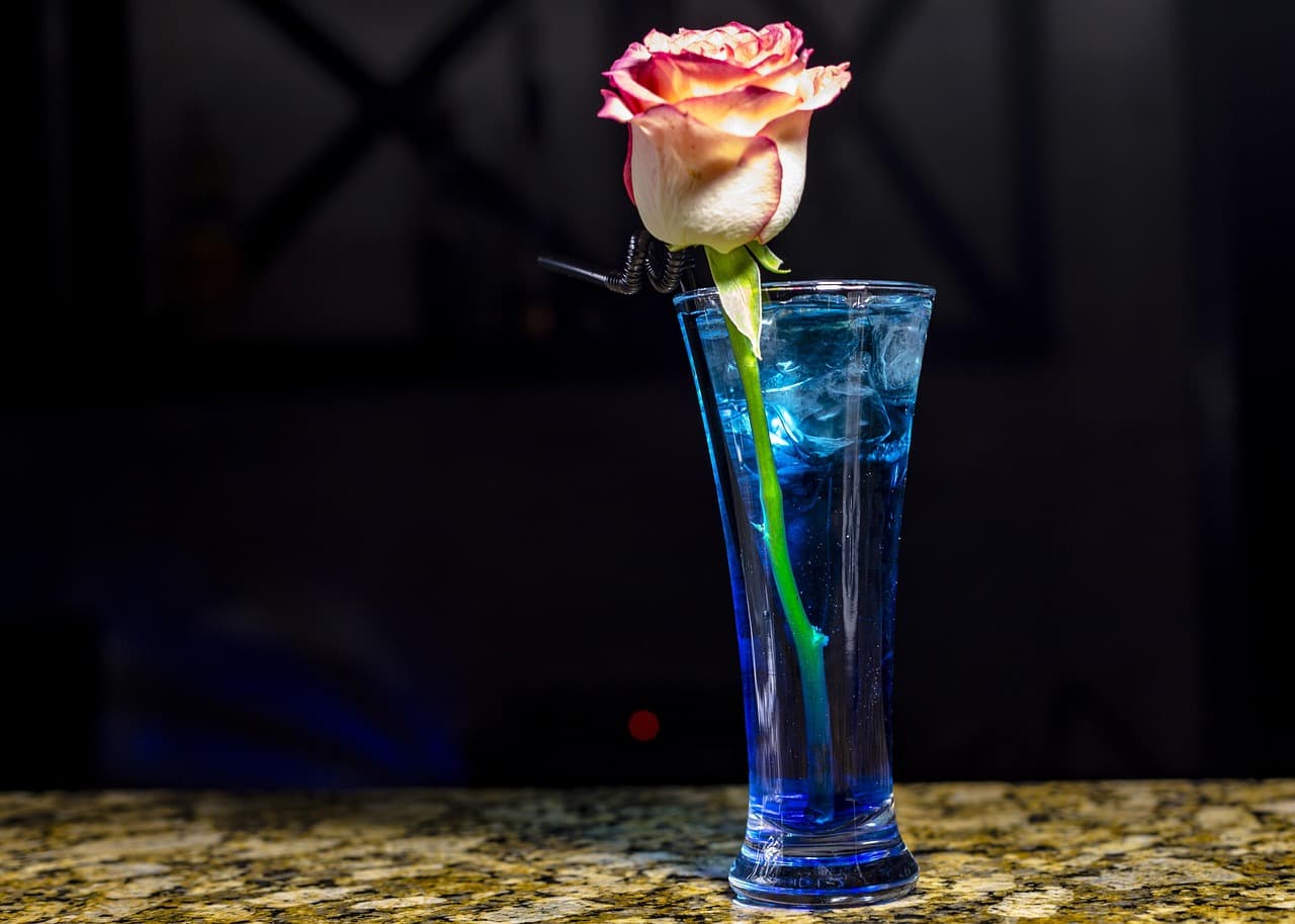 Les tendances cocktails créatifs à suivre