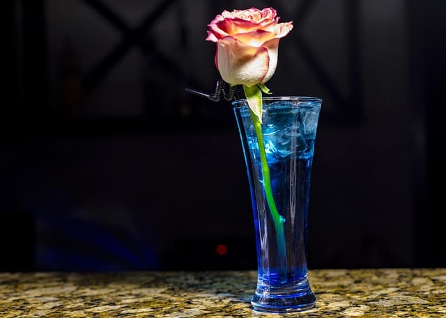 10 Cocktails Créatifs à Réaliser pour Étonner Vos Invités